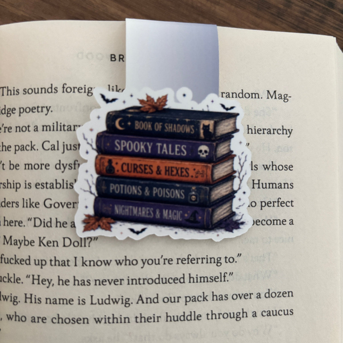 A decorative bookmark shaped like a stack of four fantasy books with skull and crescent moon details, placed on an open book page.